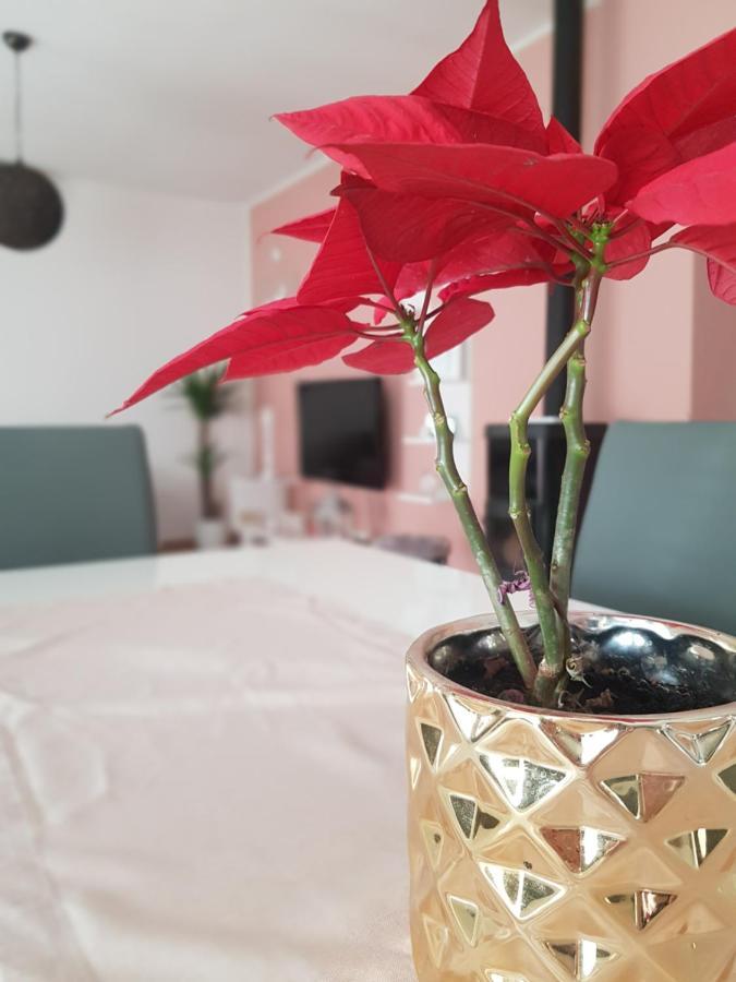 Apartmani Milutin Brodarica  Eksteriør billede